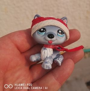LPS  Littlest Snowflake husky #1617 hat and collar